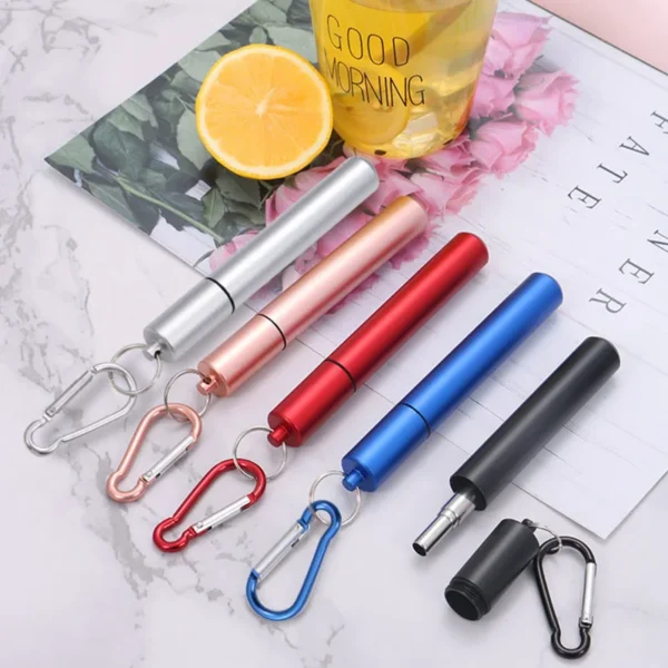 Telescopic Stainless Steel Straw Set