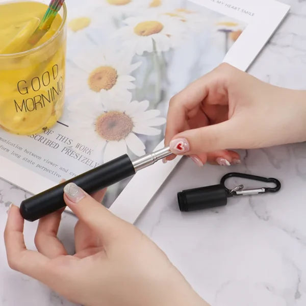 Telescopic Stainless Steel Straw Set