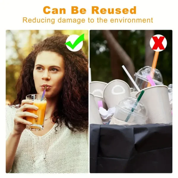Collapsible Stainless Steel Straw Set