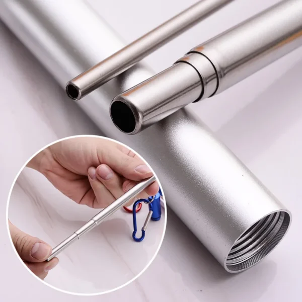 Telescopic Stainless Steel Straw Set