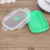 Collapsible Silicone Food Container — 500 ml