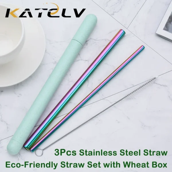 Stainless Steel Reusable Straw Set