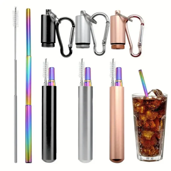 Collapsible Stainless Steel Straw Set